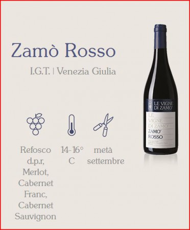 ZAMO' - ROSSO